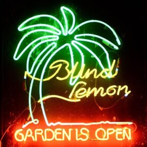 The Blind Lemon in Mount Lookout, OH 